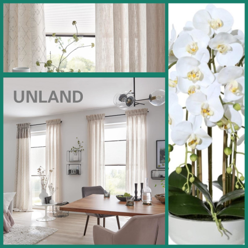 Unland_2025-06-1
